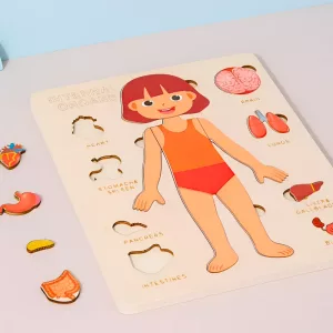 human body puzzle, montessori puzzle, body parts puzzle, wooden puzzle, educational toy