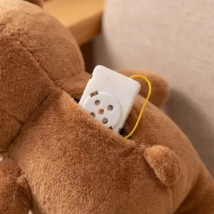 Sprachbox-Recorder für Kuscheltiere